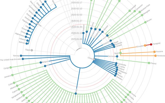 Case Tree / Yuqian Ma | Observable