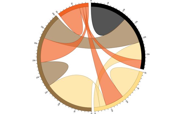 Build an Interactive Data Visualization with D3.js and Observable